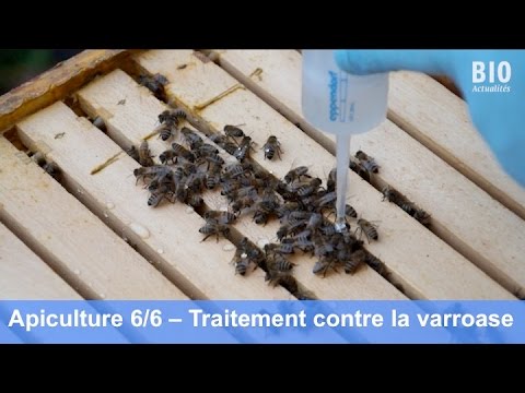 Traiter à l'acide oxalique sans ouvrir la ruche – Syndicat d'Apiculture du  Rhône et Région Lyonnaise