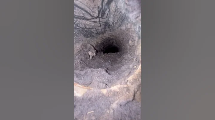 Extracting 45 years of lint out of the dryer vent. First cleaning since 1979! 😳😱🤯