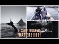 I Saw "Maame Water" Face To Face and Lost Two Friends At Sea  Fisherman's Shares Experience]]