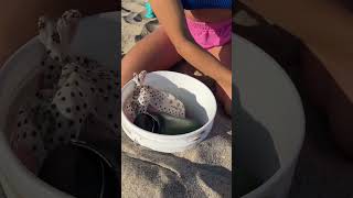 Your favorite beach hack #beach #hack #hacks