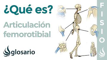 What is Femorotibial? What is Femorotibial?