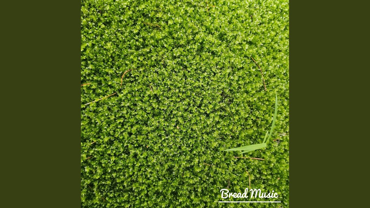 Threads of Dusk Unwinding