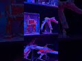 How to Display Your LEGO Star Wars Collection