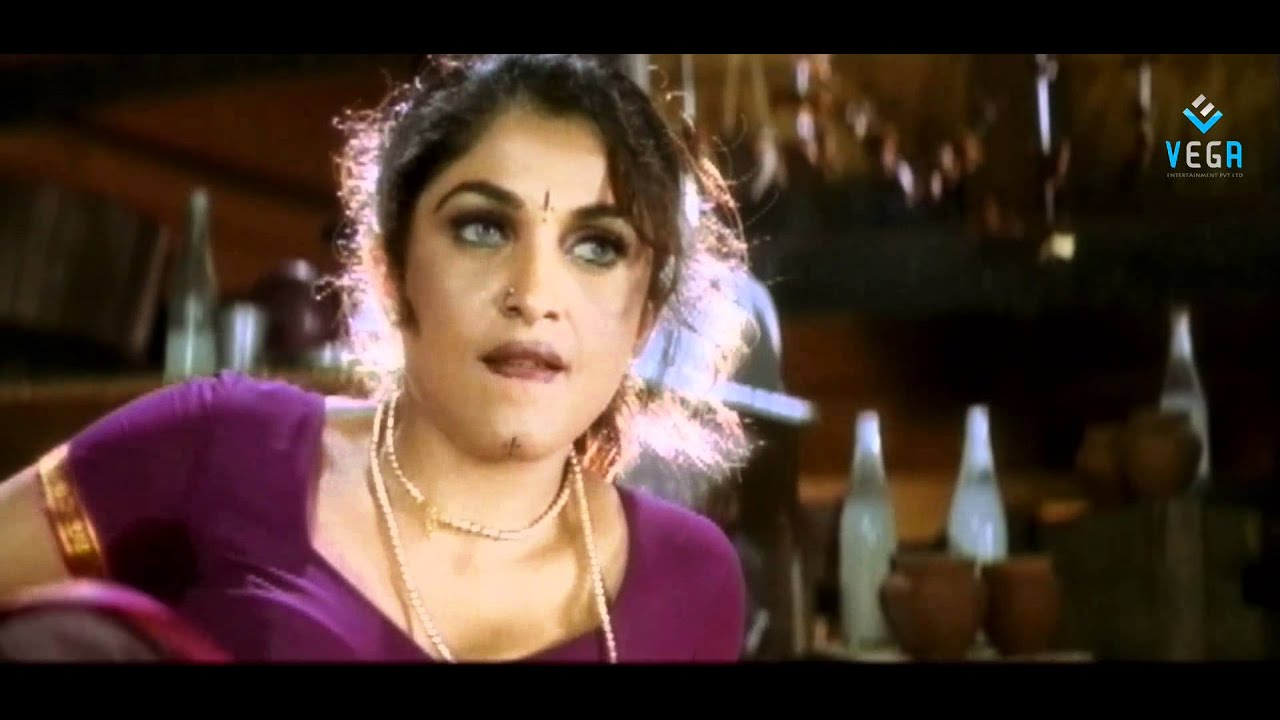 Ramya Krishna Introduction Scene Simhadri Movie Jr Ntr Bhoomika 