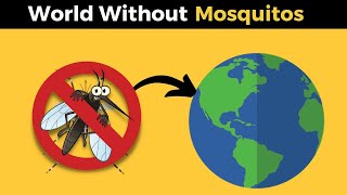 What If All Mosquitos Disappeared World without Mosquitos We Killed all Mosquitos