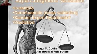Expert Judgment Validation