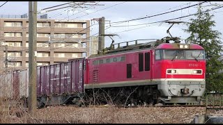 EF510-1トップナンバー牽引高速貨物【HD】信越本線上り3098レ