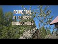 ПЕНИЕ ПТИЦ 01.06.2022г. ПОДМОСКОВЬЕ