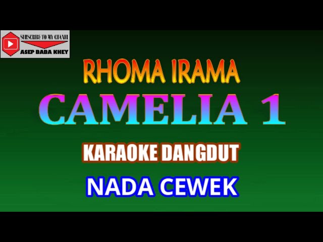 KARAOKE DANGDUT CAMELIA 1 - RHOMA IRAMA (COVER) NADA CEWEK class=