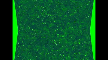 Reaction Diffusion simulation of the Grey-Scott model showing chemical waves