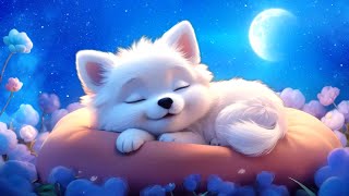 Fall Asleep Fast 💤 Frequency of Happiness to Release Well-being Hormones, Relaxing Music