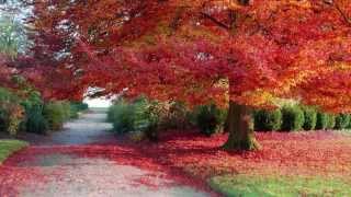 Willie Nelson - September Song.