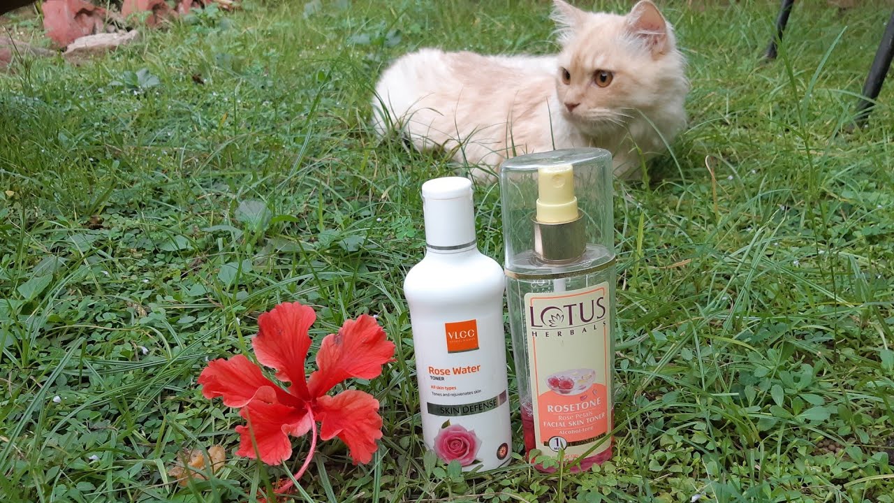 lotus herbal rose toner