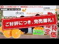 【高級柑橘せとか！大特価】愛媛県産　せとか　2Lサイズ　5KG