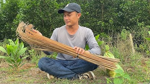 Cắm  Câu Cá Lóc Ở Vùng Đồi Đá Bị Cá Lôi Cần Câu để/ fishing rod