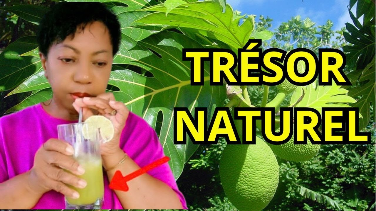 Откройте для себя напиток из листьев хлебного дерева — взрыв вкуса и витаминов!