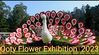 உதகை மலர் கண்காட்சி 2023 //Ooty Flower Exhibitions // ஊட்டி மலர் கண்காட்சி  //Deepa's tea time vlog