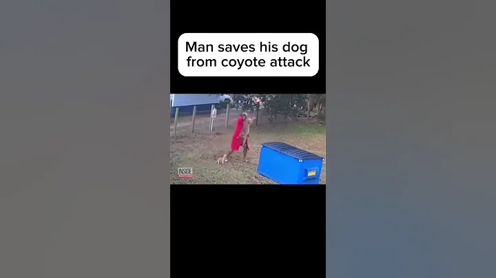 Man saves his dog from coyote attack