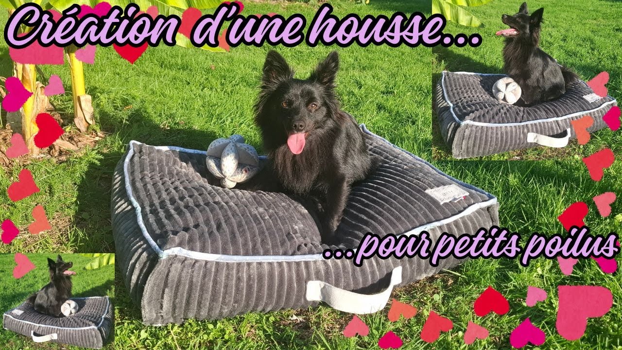 Création d'une housse pour coussin pour chien