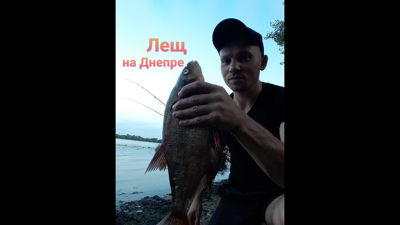 Рыбалка в Киеве на Днепре фидером.