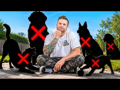 Don't Even Think About These Dog Breeds...
