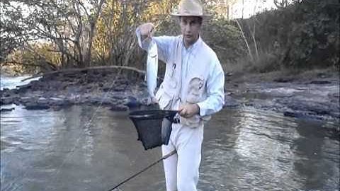 Handy Pak Insta-Net in Brazil