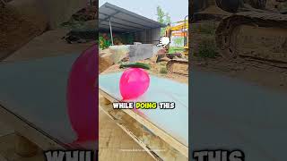 Impossible Skill Test #facts #shortvideo