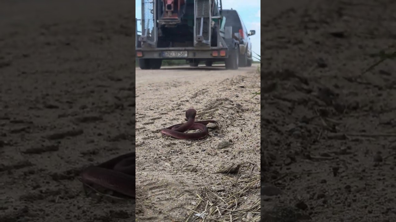 Badanie geotechniczne PPGEO