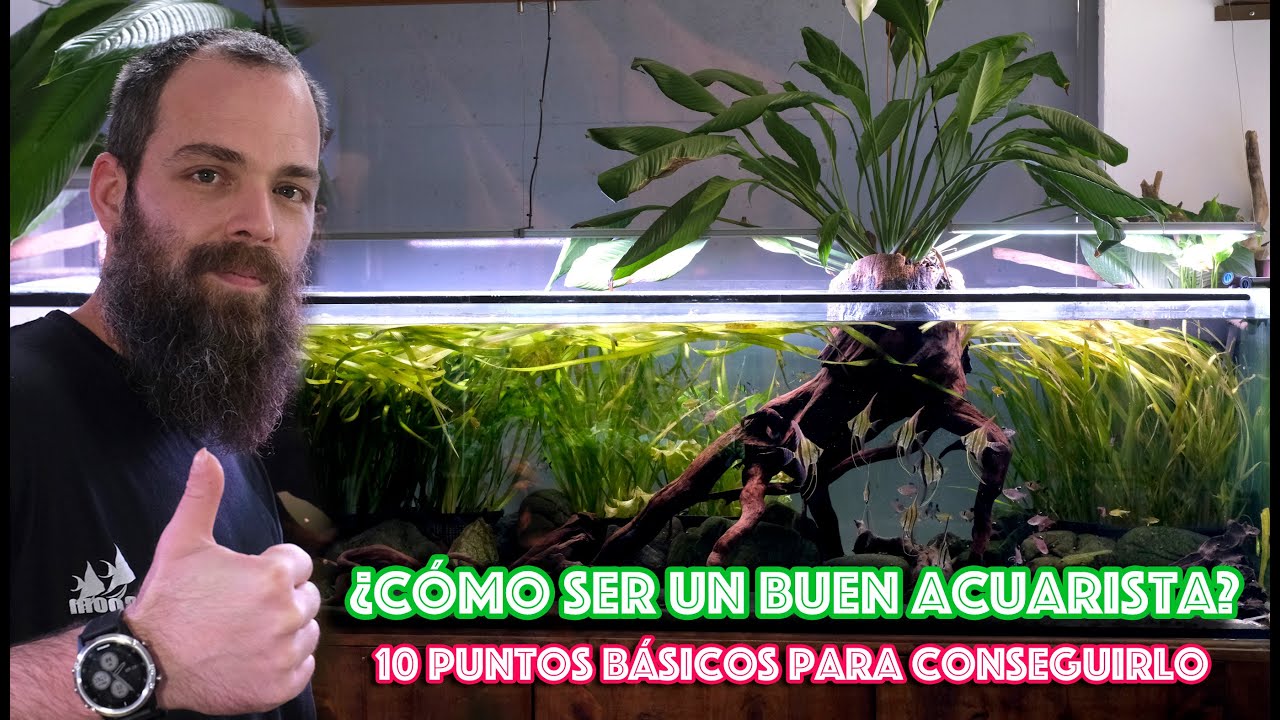¿Cómo ser un buen Acuarista? 10 puntos básicos para conseguirlo 😉👍