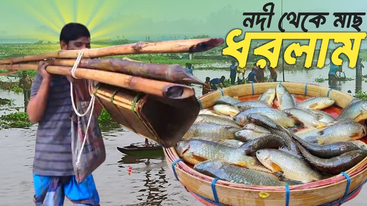 আজকে নদী থেকে অনেক গুলো দেশি মাছ ধরেছি | Sojib Brother - YouTube