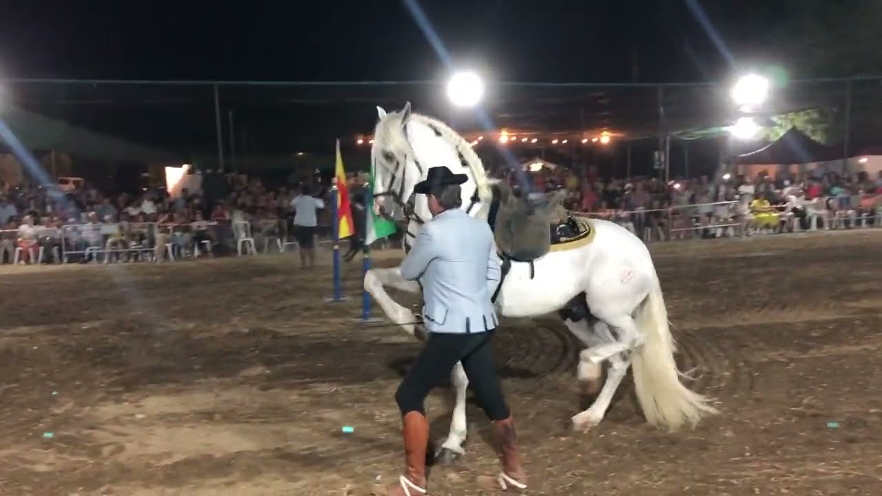 Andalucía Sueña -  David Chaves