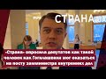 «Страна» опросила депутатов как такой человек как Гогилашвили мог оказаться на посту замминистра