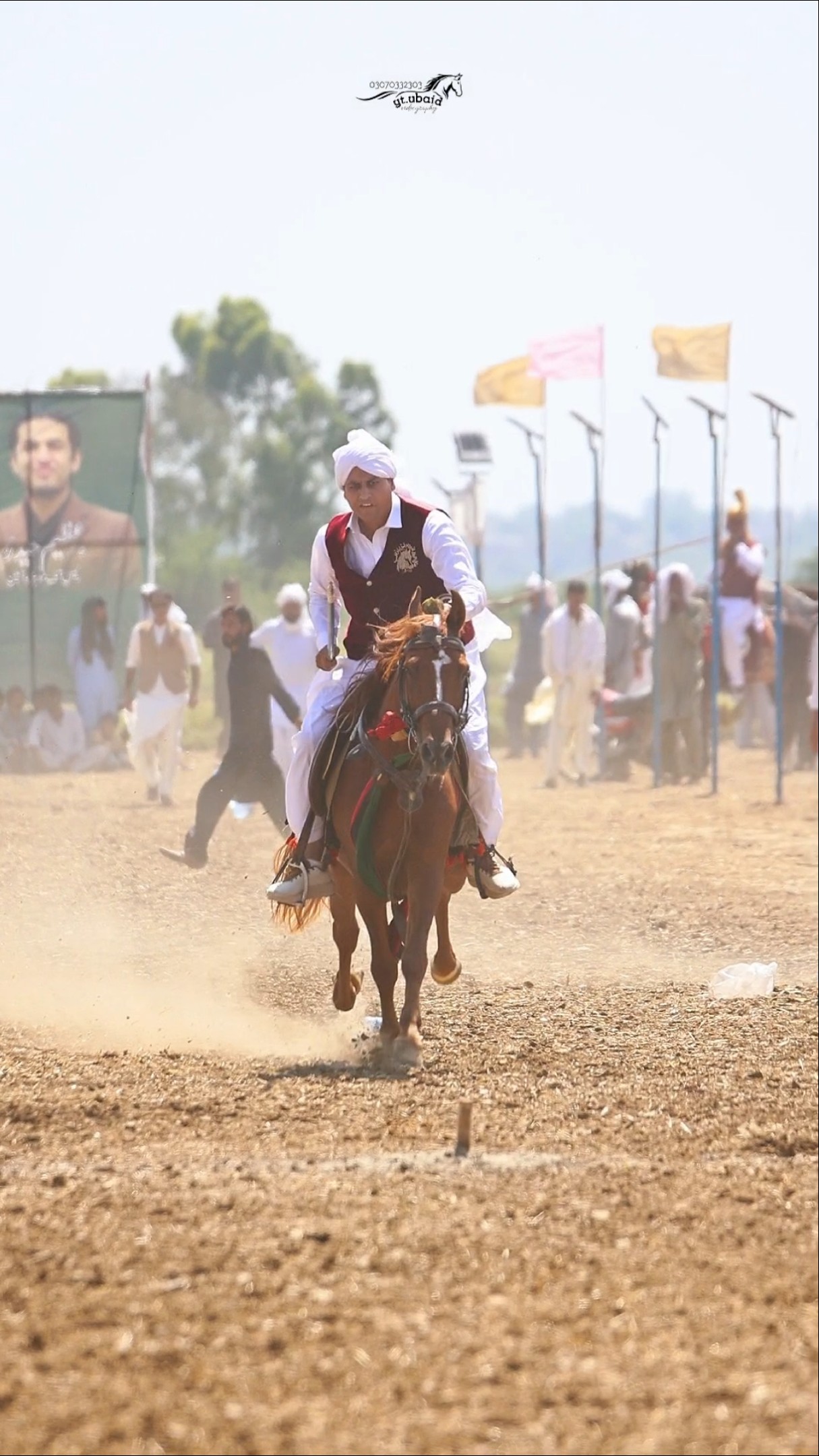 Hard Luck #horse #horseriding #viral #shorts #ghoda #photography