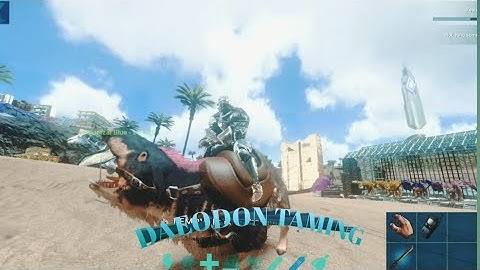 Ark mobile how to tame Daeodon?