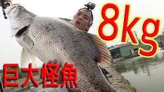 ついに巨大怪魚バラマンディを釣り上げる！~台湾釣行 #8~