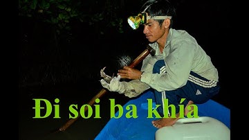 Săn ba khía trong rừng ngập mặn - Khám phá vùng quê