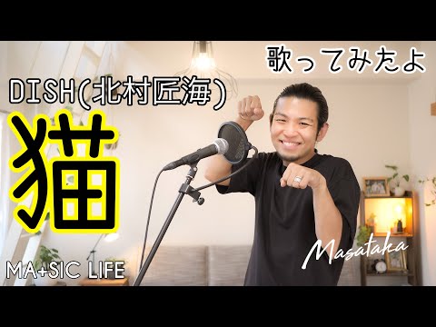 【歌ってみた】猫/DISH（北村匠海） MA＋SIC LIFE cover