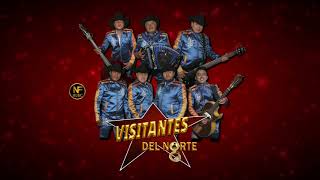 VISITANTES DEL NORTE