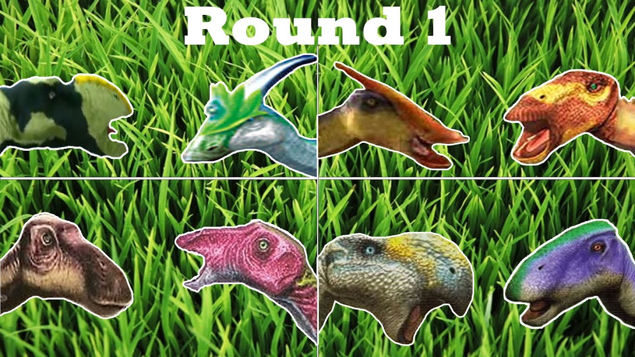 Dinosaur King Arcade (恐竜王アーケード) | Graceous Grass Tournament | Round 1 | Part 2