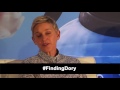 Press Conference: Ellen Degeneres, Andrew Stanton | Finding Dory (The Fan Carpet)