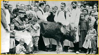 COMO SURGIU A PRIMEIRA VACINA NA HISTÓRIA? VACINA DA VARÍOLA