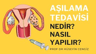 Yumurtlama Günü Nedir ? Nasıl Anlaşılır ? Yumurtlama Zamanı Nasıl Belirlenir ?