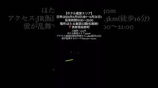 ホタル #旅行 #長野 #japantravel #firefly