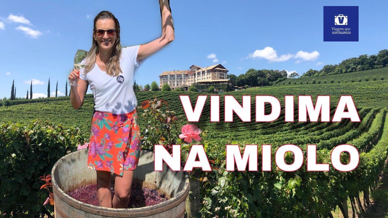 Experiências da Vindima na vinícola Dal Pizzol, em Bento Gonçalves