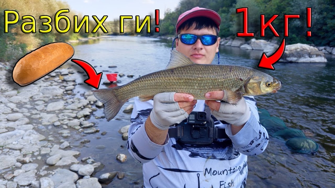 В търсене на ТРОФЕЙНИ СКОБАРИ с ДИРЕКТЕН телескоп! Риболов на ТРОХА с приятели по река Струма!