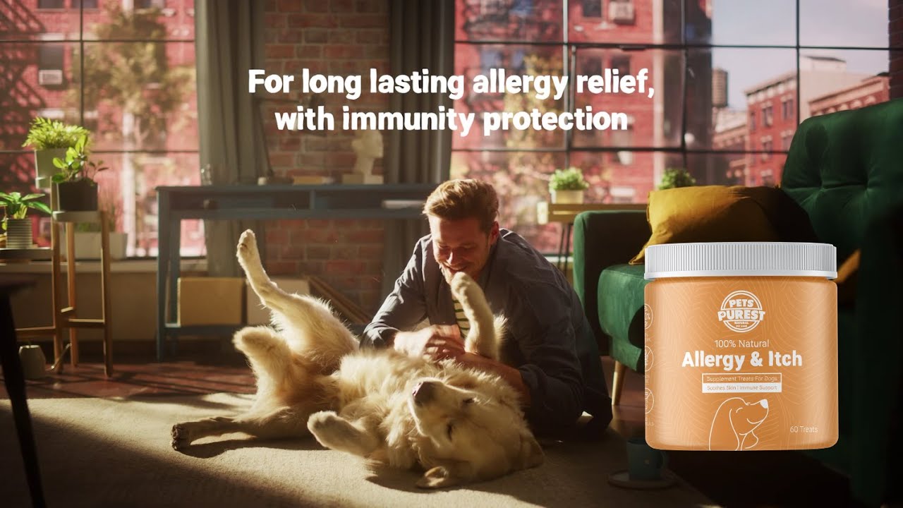 How to Treat Your Dog's Itchy Skin - Allergy & Itch Supplement Treats