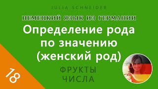 Урок №18: Определение рода по значению (женский род) | НЕМЕЦКИЙ ЯЗЫК ИЗ ГЕРМАНИИ