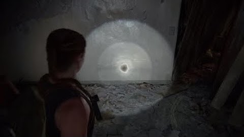 The Last of Us 2 Blind Playthrough (20) Lev and Yara