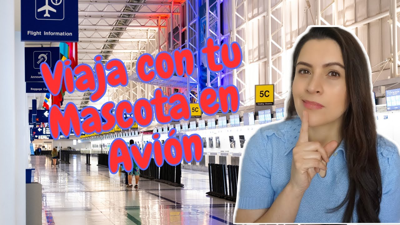 Volar Con Tu Peludo: Descubre Los Requisitos Y Normas De Volaris Para Viajar Con Tu Mascota En Avión