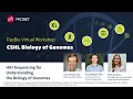 HiFi Sequencing for Understanding the Biology of Genomes
